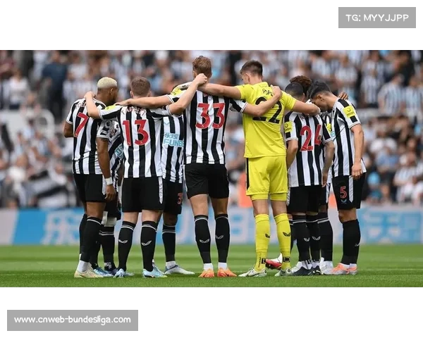 霍芬海姆客场逆转沃尔夫斯堡,赢得进球大战 霍芬海姆客场逆转沃尔夫斯堡,赢得进球大战